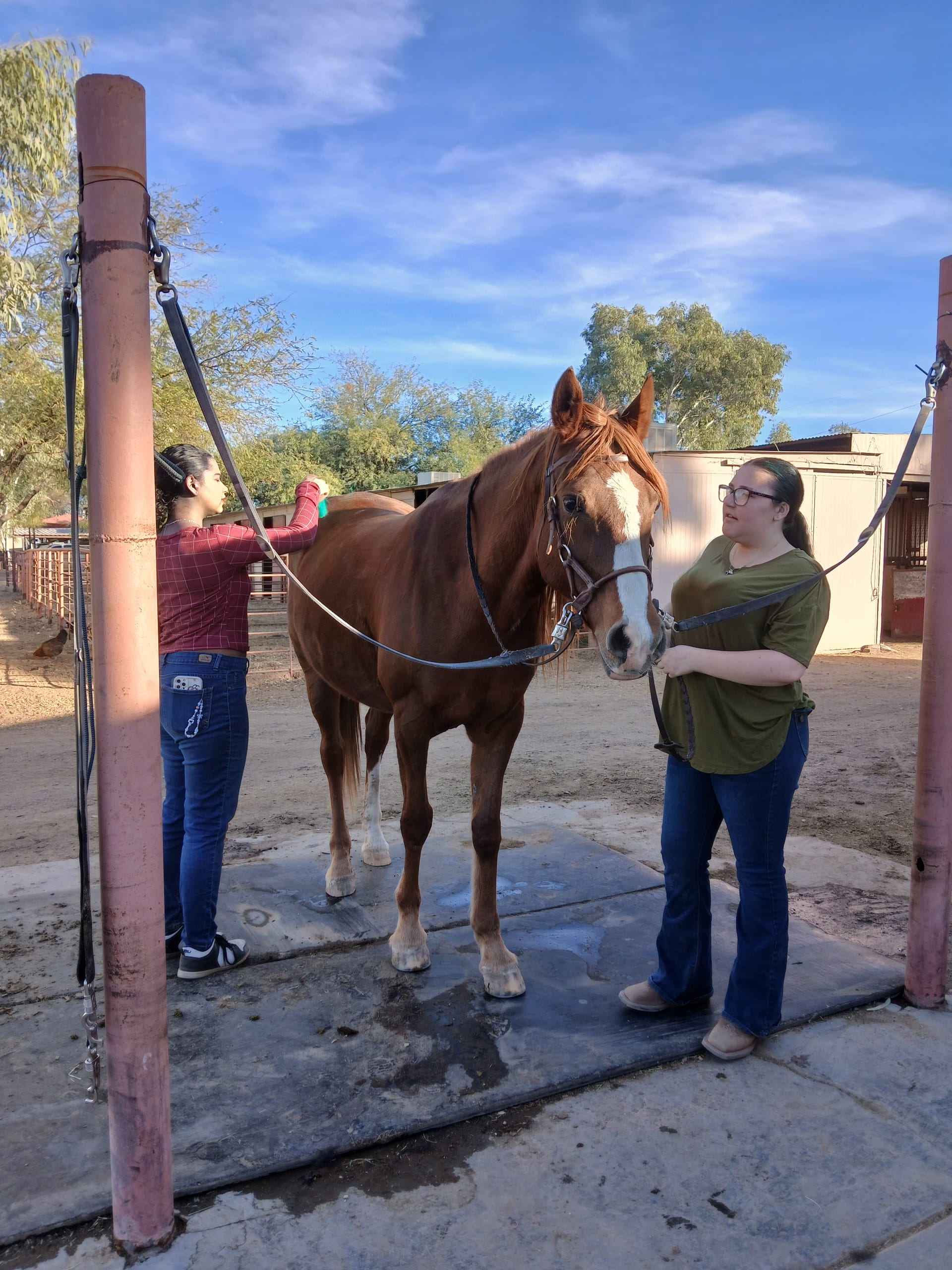 Kids riding horses at Rose Riding Summer Camp